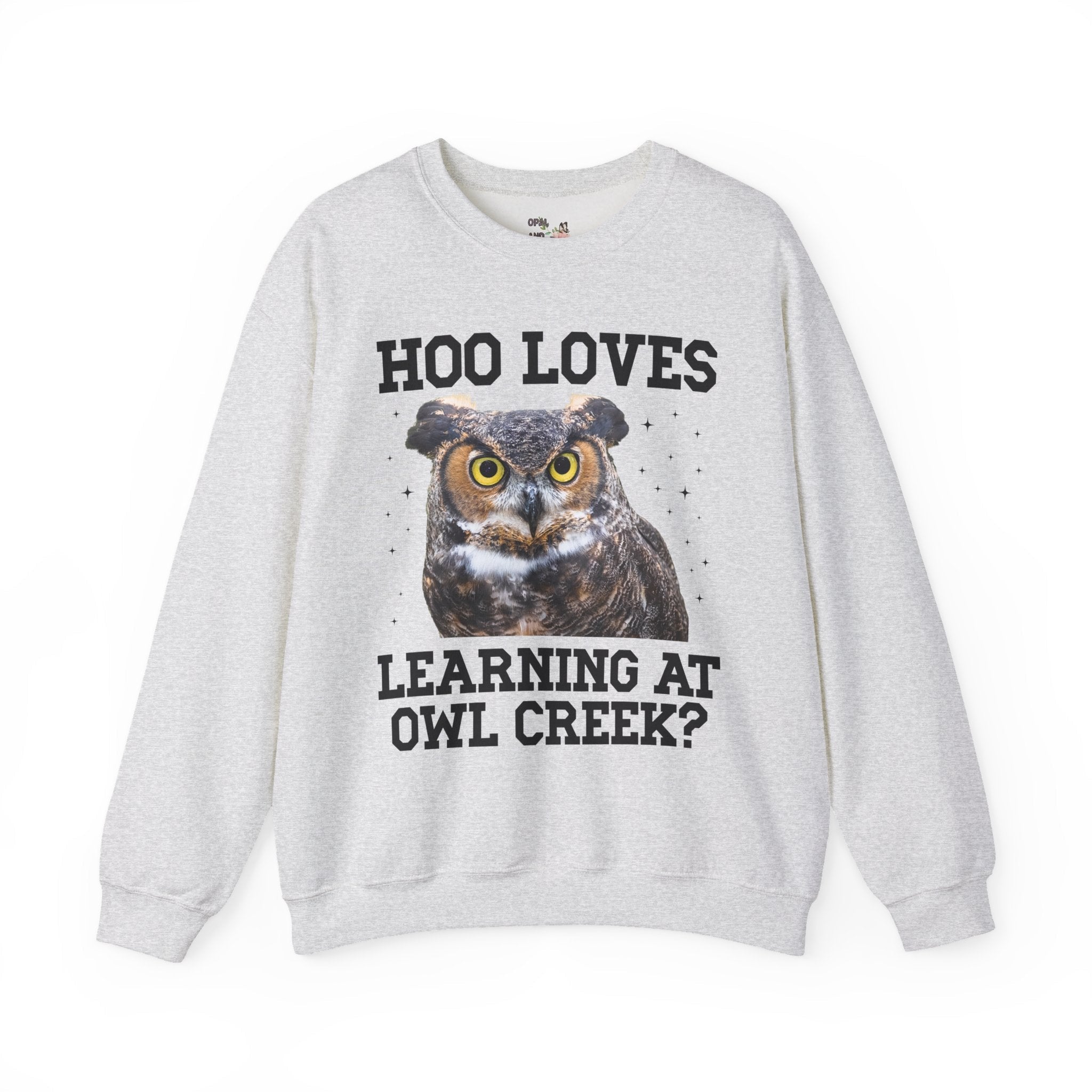 Owl Creek Elementary School Sweatshirt: Hoo Loves Learning at Owl Creek? - Opal and June