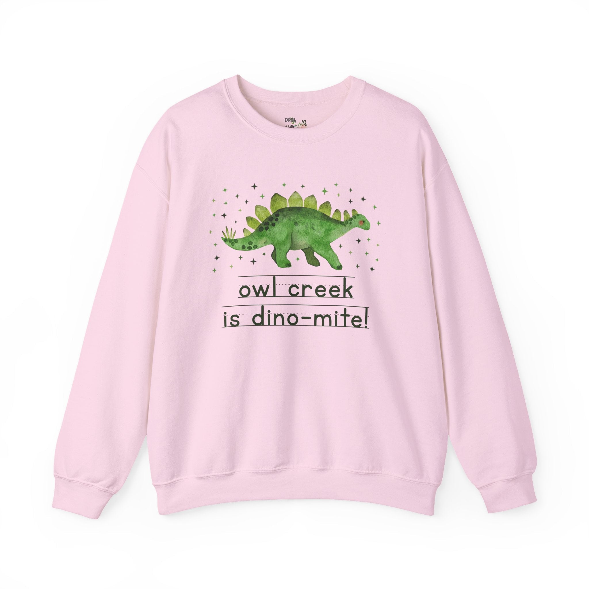 Owl Creek Elementary School Sweatshirt: Owl Creek is Dino - Mite! | FPS + Opal and June Sweatshirt, Fayetteville Public Schools - Opal and June