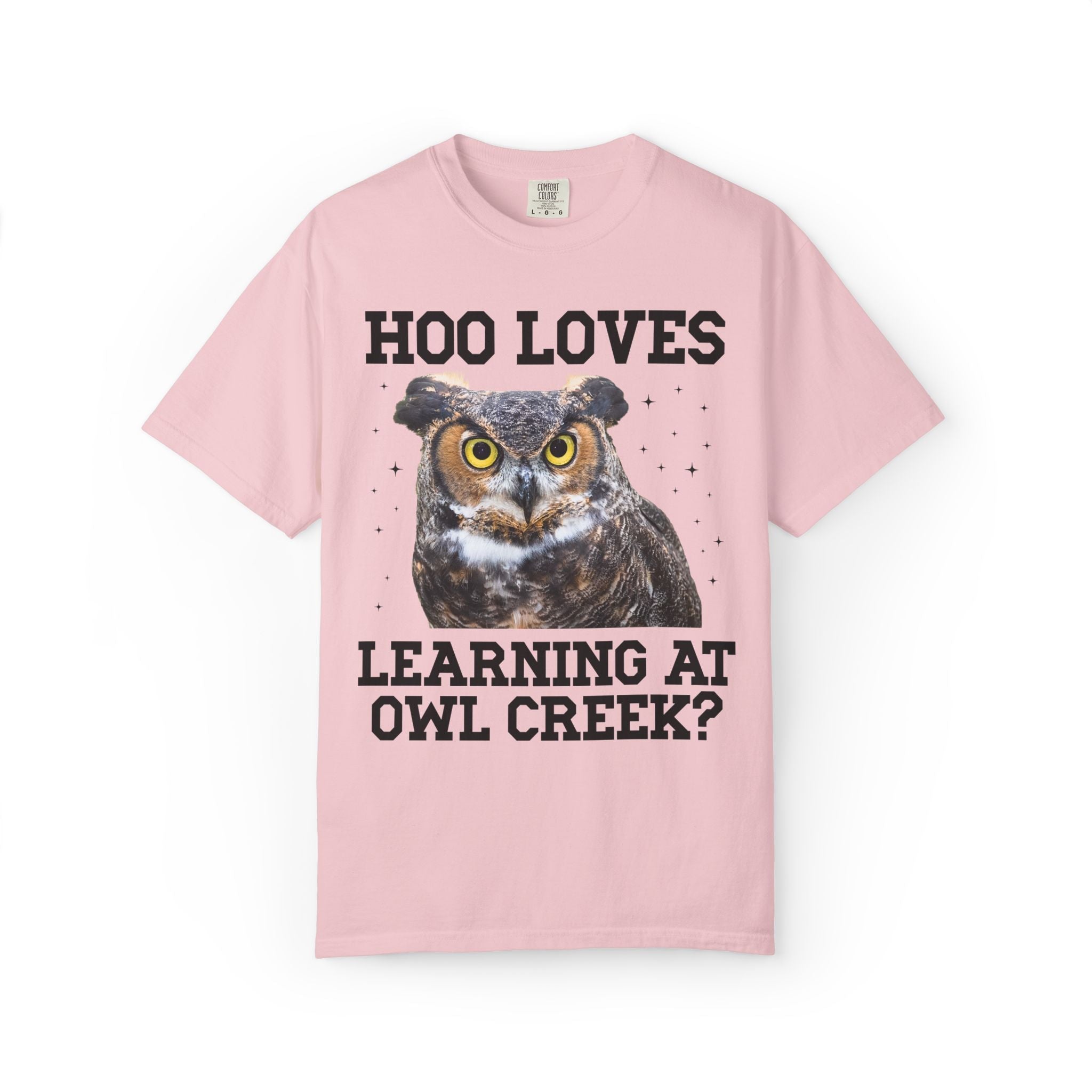 Owl Creek Elementary School Tee Shirt: Hoo Loves Learning at Owl Creek? - Opal and June