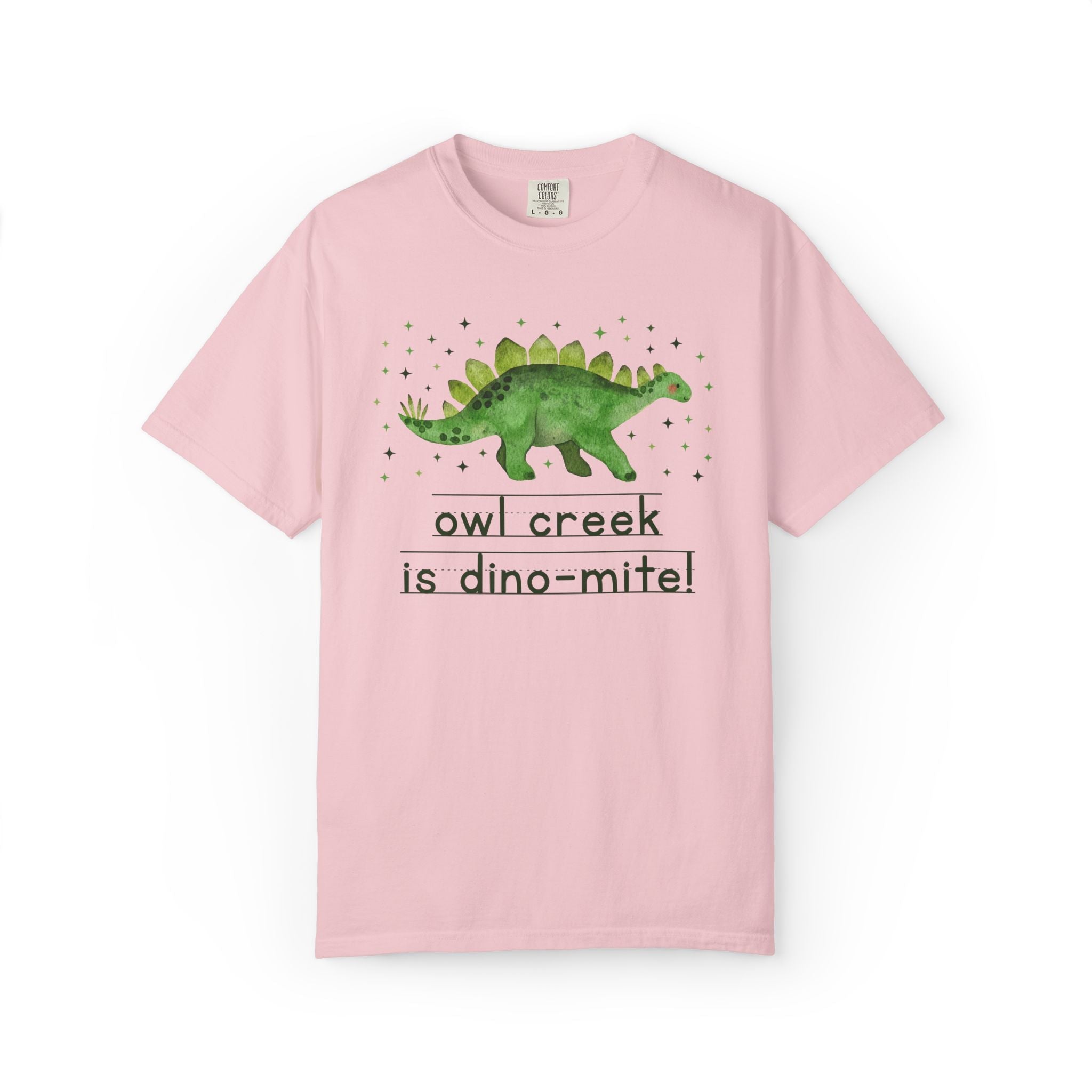 Owl Creek Elementary School Tee Shirt: Owl Creek is Dino - Mite! | FPS + Opal and June Tee Shirt, Fayetteville Public Schools - Opal and June