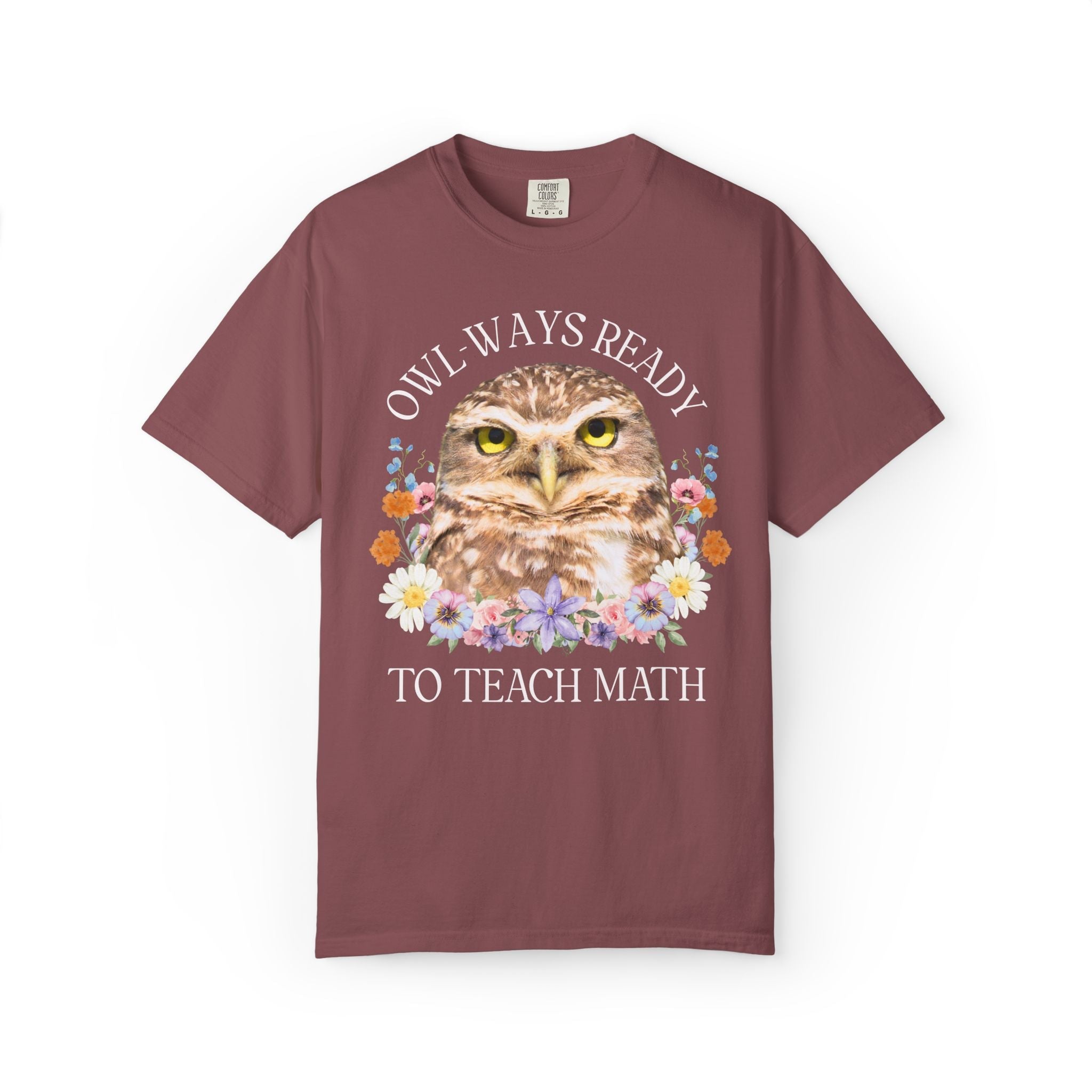 Owl High School Matching Teacher T-Shirt for School Office Staff, Funny Animal Lover T-Shirt for School Administration or Middle School Math - Opal and June