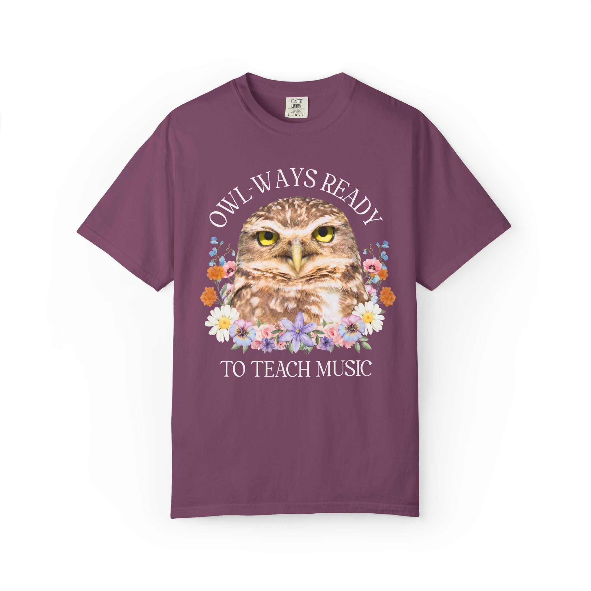 Owl High School Matching Teacher T-Shirt for School Office Staff, Funny Animal Lover T-Shirt for School Administration or Middle School Math - Opal and June