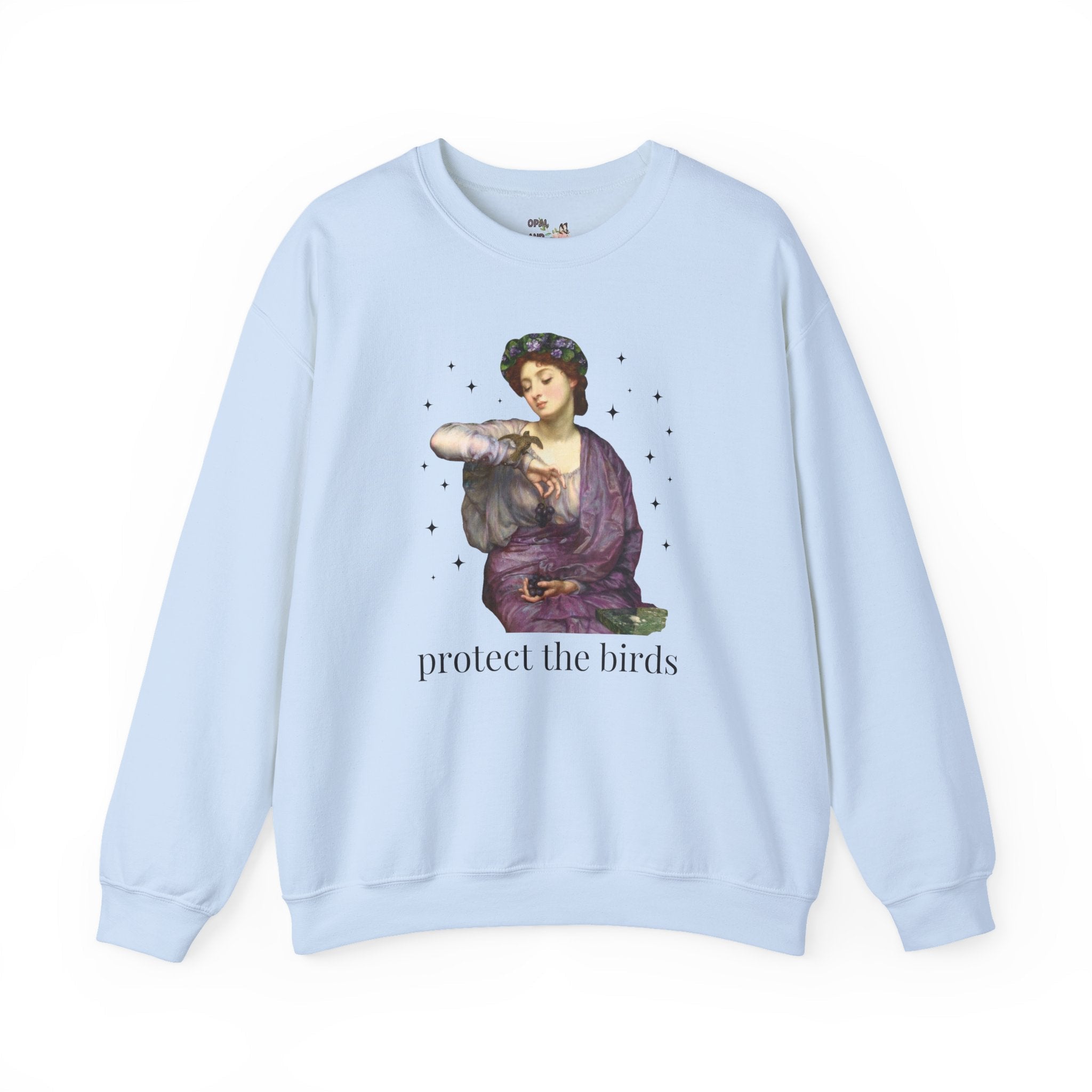 Protect the Birds Art History Sweatshirt - Opal and June