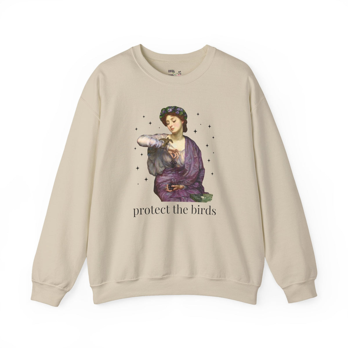 Protect the Birds Art History Sweatshirt - Opal and June