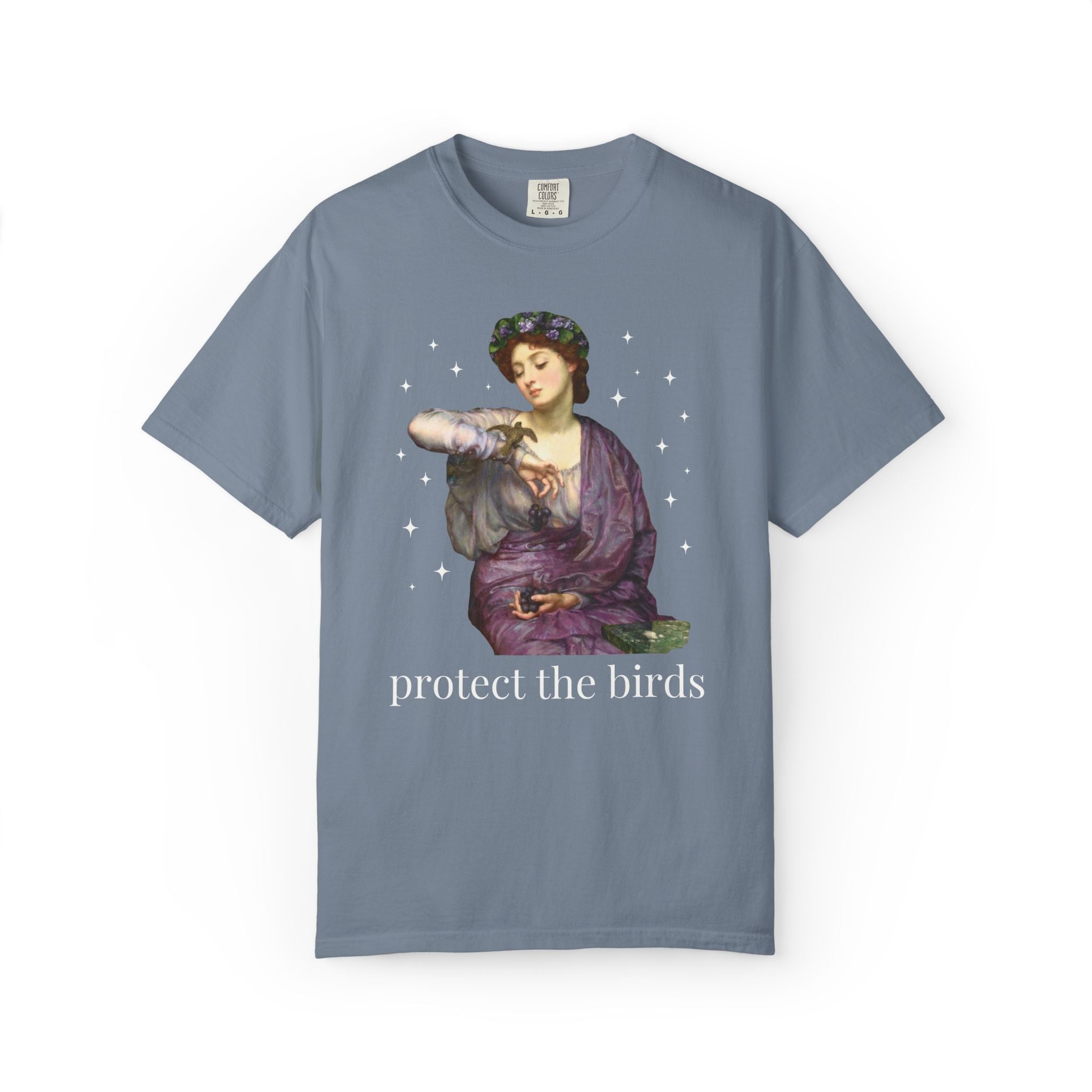 Protect the Birds Art History Tee Shirt - Opal and June