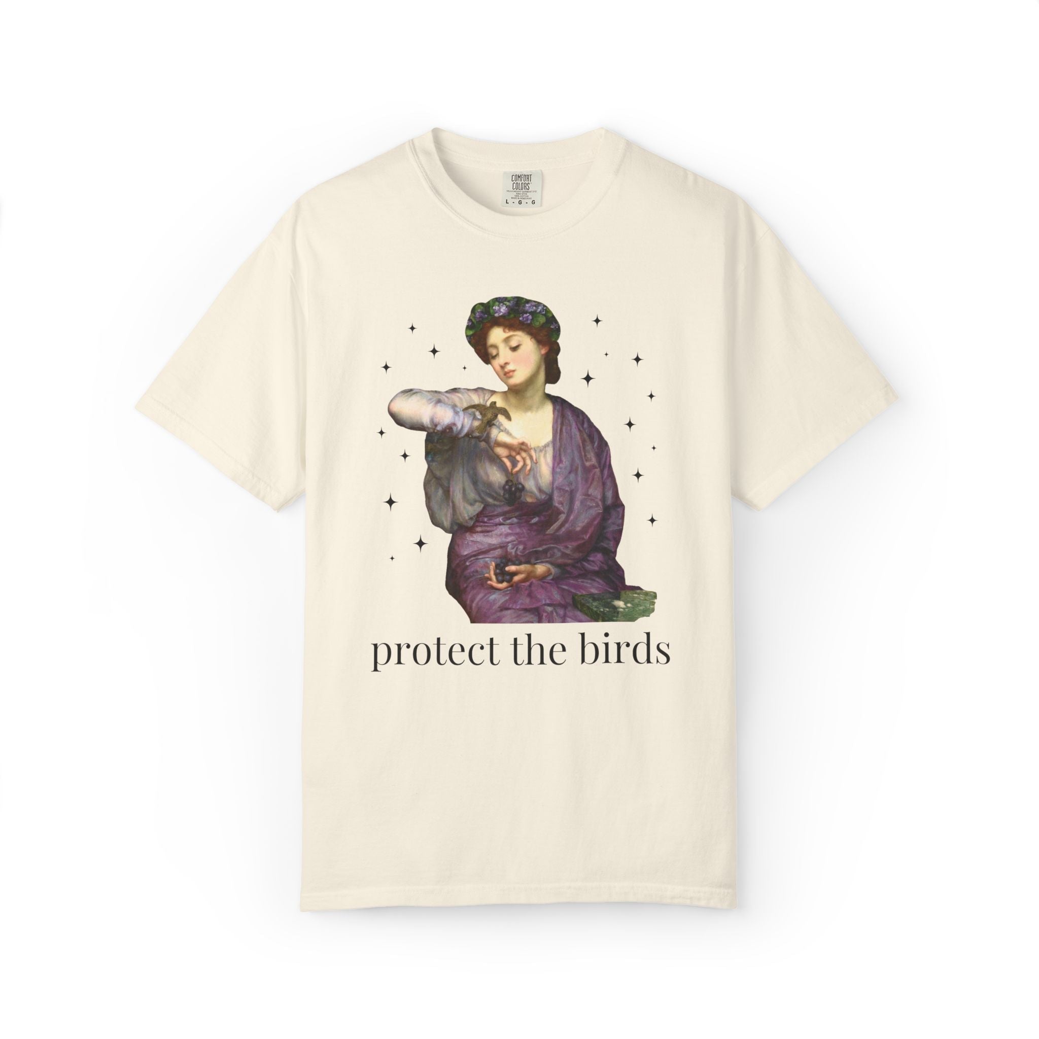 Protect the Birds Art History Tee Shirt - Opal and June