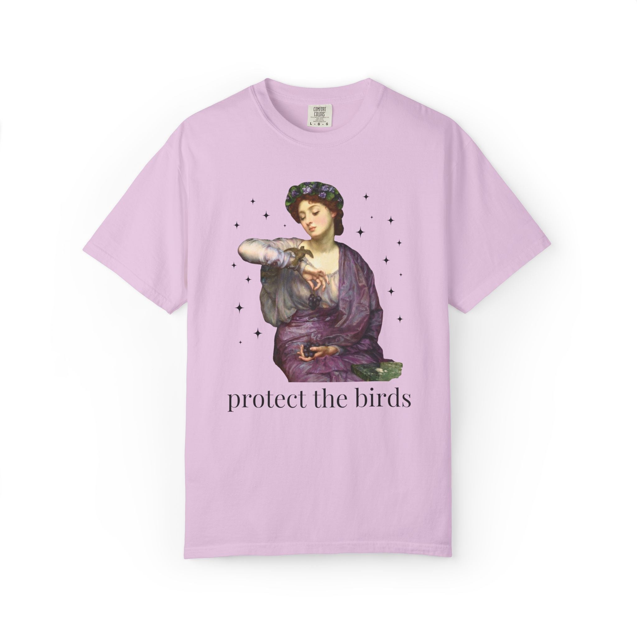 Protect the Birds Art History Tee Shirt - Opal and June