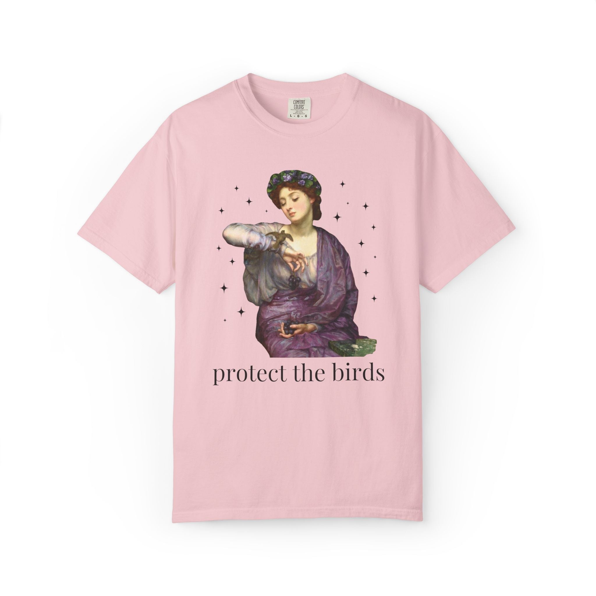 Protect the Birds Art History Tee Shirt - Opal and June