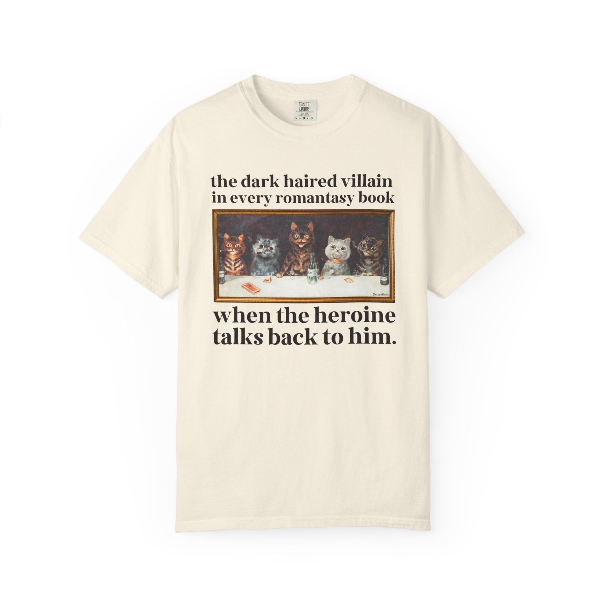 Romantasy Villain Lover Tee Shirt for Cat Mom or Cat Dad, Funny Saying Bookworm T-Shirt for Romance Reader, Silly Fantasy Romance Tropes Tee - Opal and June