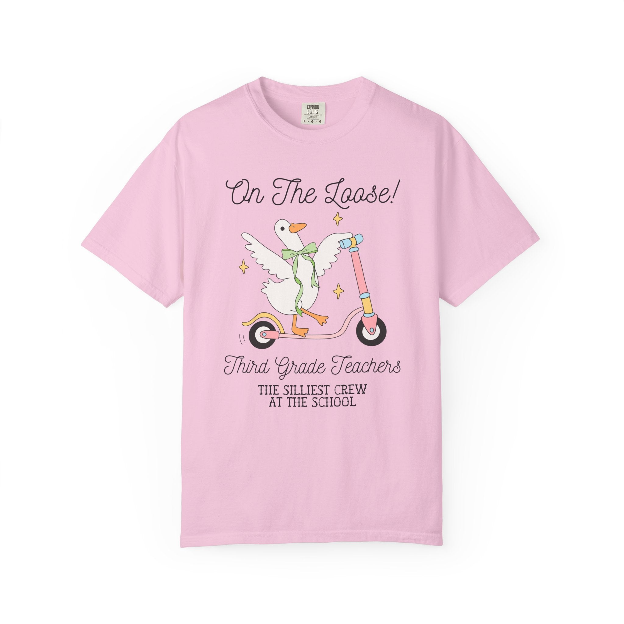 Second Grade Teacher Tee Shirt for Back to School, Matching Meet the Teacher T-Shirt for First Day of School, Silly Goose Animal Lover Tee - Opal and June