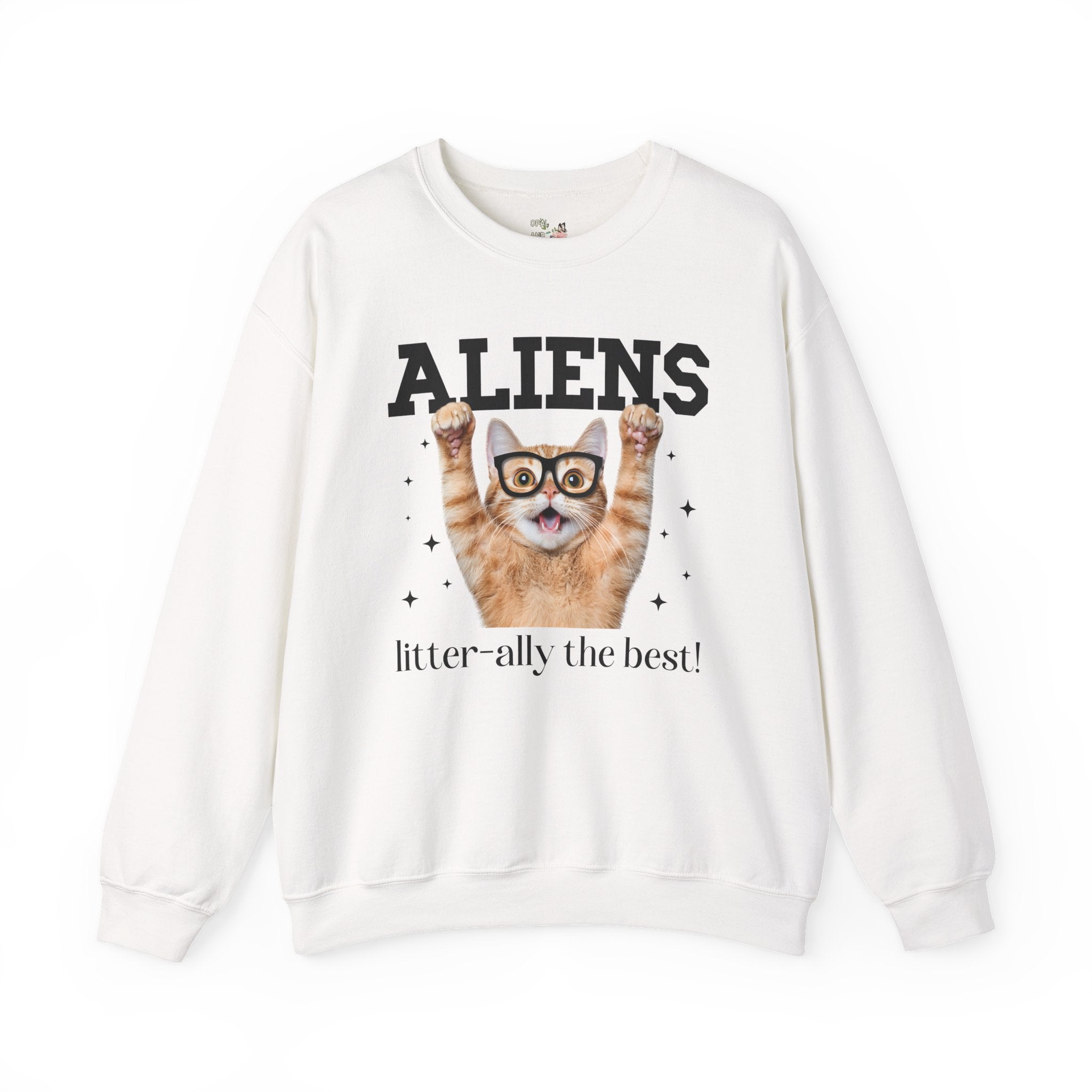 Silly Alien Lover Sweatshirt for Cat Mom or Cat Dad, Funny 90s Aesthetic Cat Lover Gift for Sister Who Loves Paranormal Stories and UFOs - Opal and June