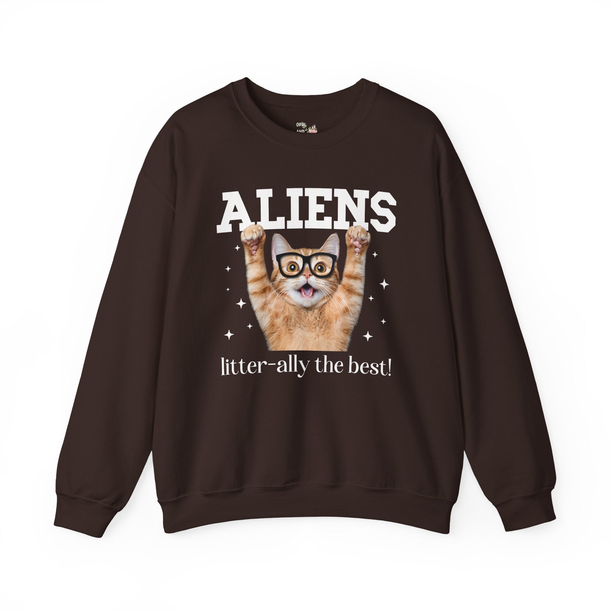 Silly Alien Lover Sweatshirt for Cat Mom or Cat Dad, Funny 90s Aesthetic Cat Lover Gift for Sister Who Loves Paranormal Stories and UFOs - Opal and June