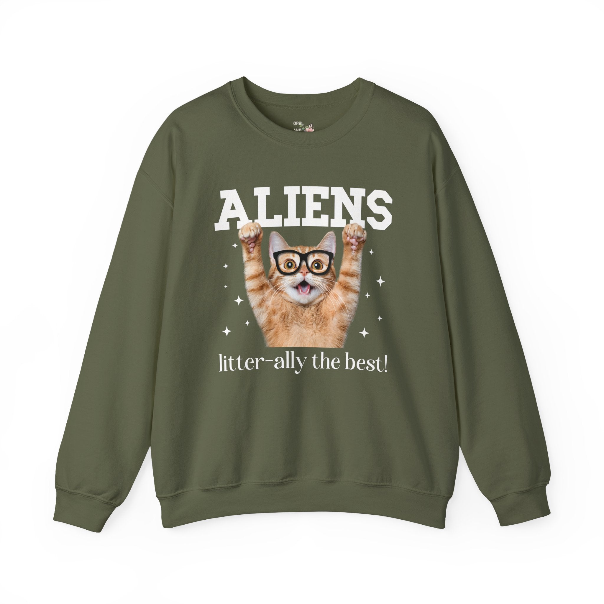 Silly Alien Lover Sweatshirt for Cat Mom or Cat Dad, Funny 90s Aesthetic Cat Lover Gift for Sister Who Loves Paranormal Stories and UFOs - Opal and June