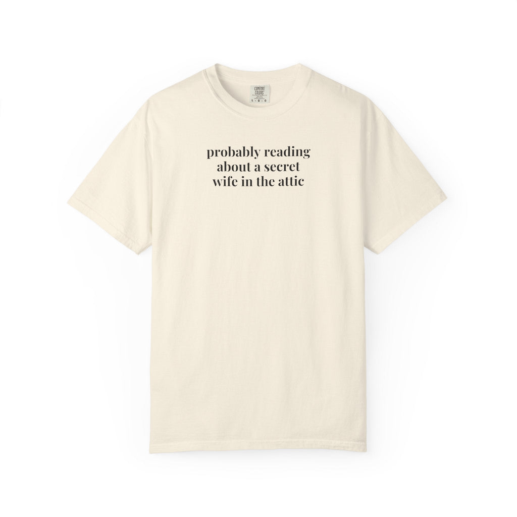 Silly Jane Eyre Tee Shirt for Bookworm, Gothic Romance Reader, 19th Century English Literature, Cute Lit Professor Gift, Charlotte Bronte - Opal and June