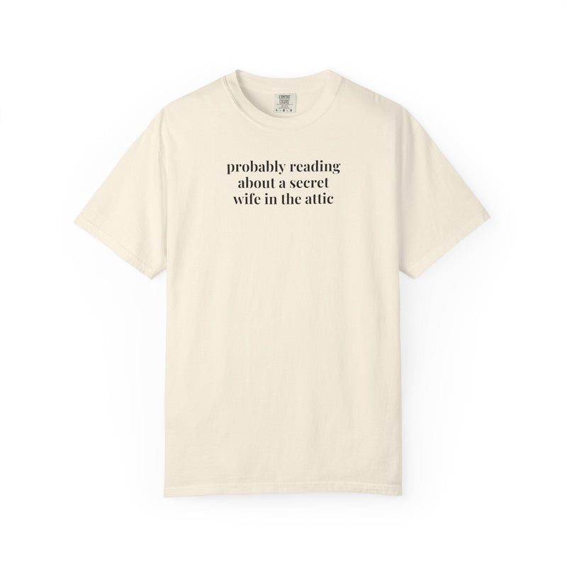 Silly Jane Eyre Tee Shirt for Bookworm, Gothic Romance Reader, 19th Century English Literature, Cute Lit Professor Gift, Charlotte Bronte - Opal and June