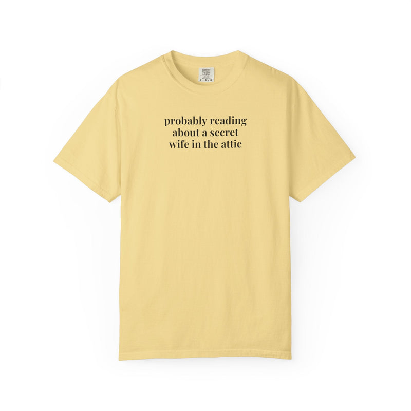 Silly Jane Eyre Tee Shirt for Bookworm, Gothic Romance Reader, 19th Century English Literature, Cute Lit Professor Gift, Charlotte Bronte - Opal and June
