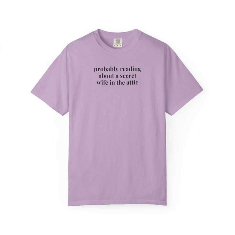 Silly Jane Eyre Tee Shirt for Bookworm, Gothic Romance Reader, 19th Century English Literature, Cute Lit Professor Gift, Charlotte Bronte - Opal and June