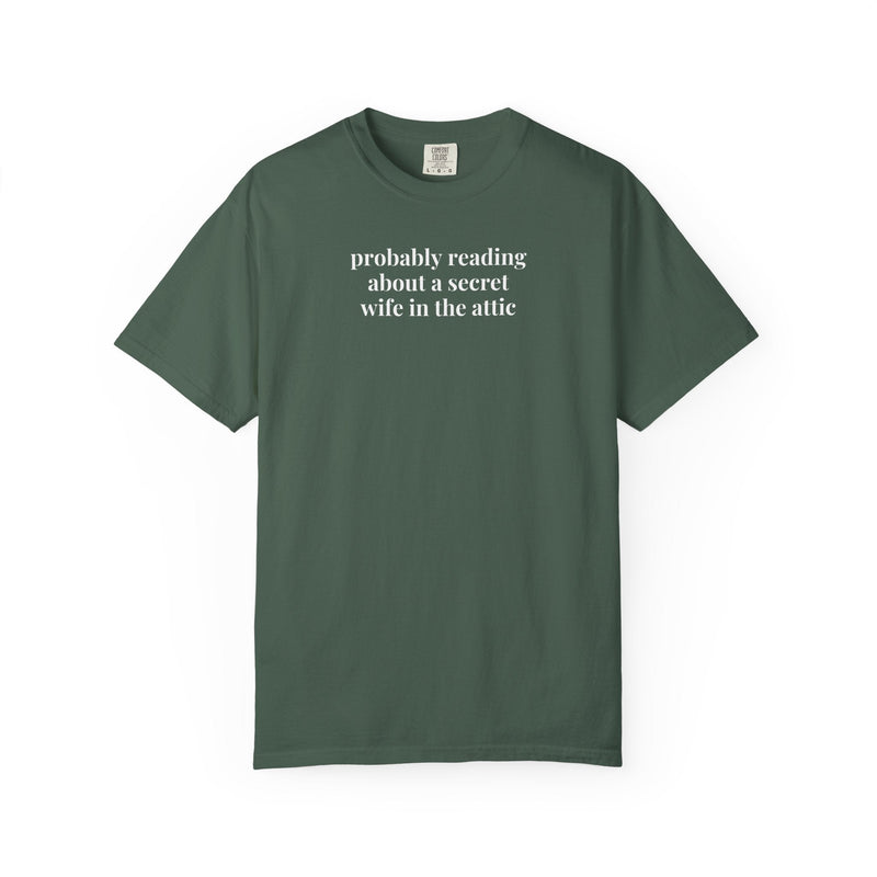 Silly Jane Eyre Tee Shirt for Bookworm, Gothic Romance Reader, 19th Century English Literature, Cute Lit Professor Gift, Charlotte Bronte - Opal and June