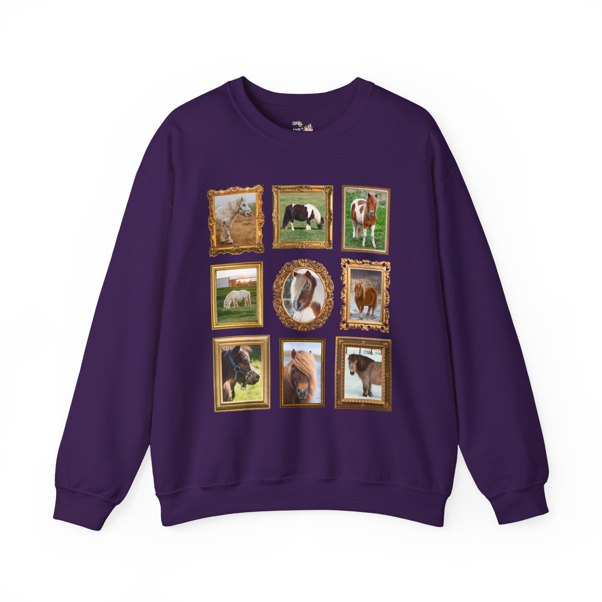 Silly Miniature Horse Lover Sweatshirt - Opal and June