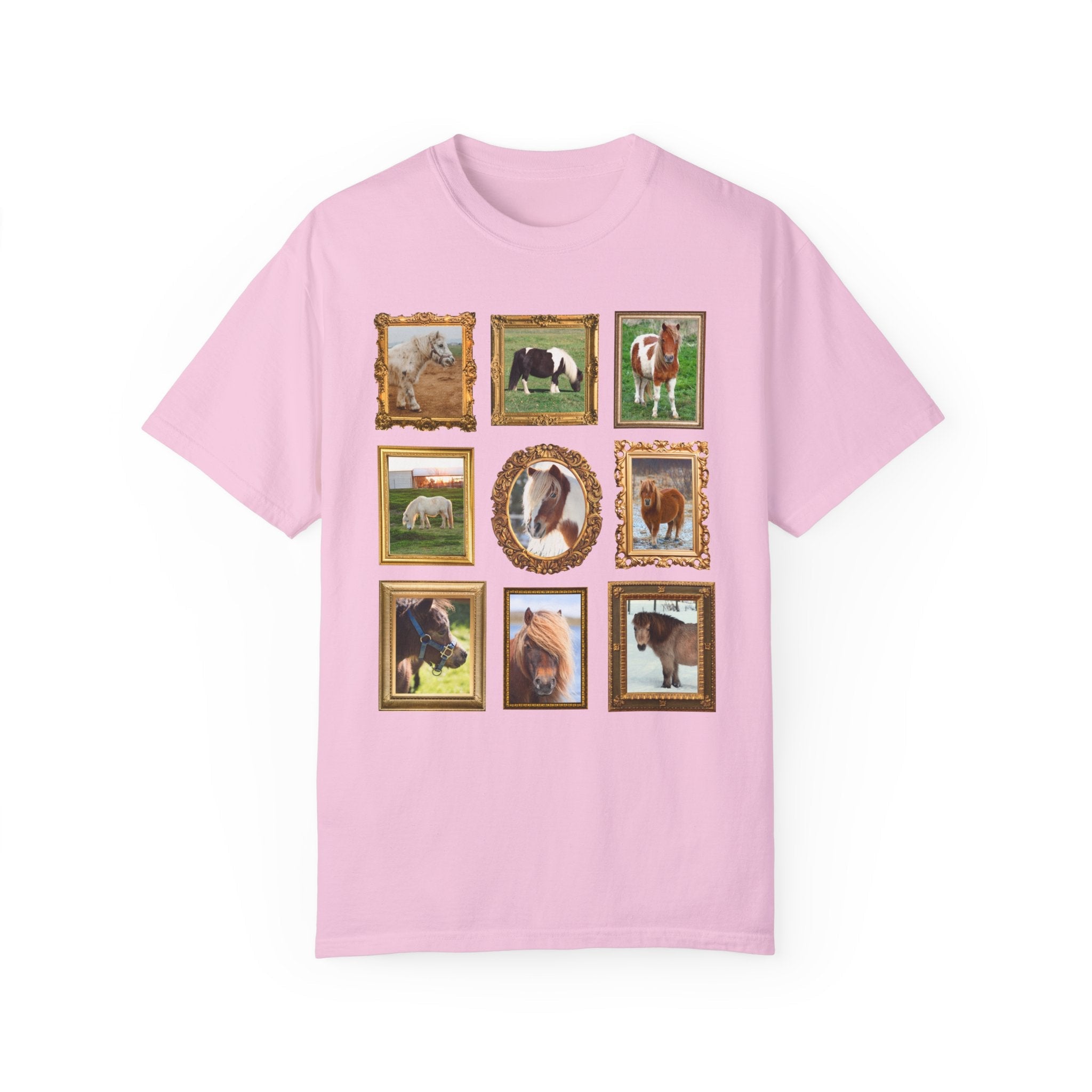 Silly Miniature Horse Lover Tee Shirt - Opal and June