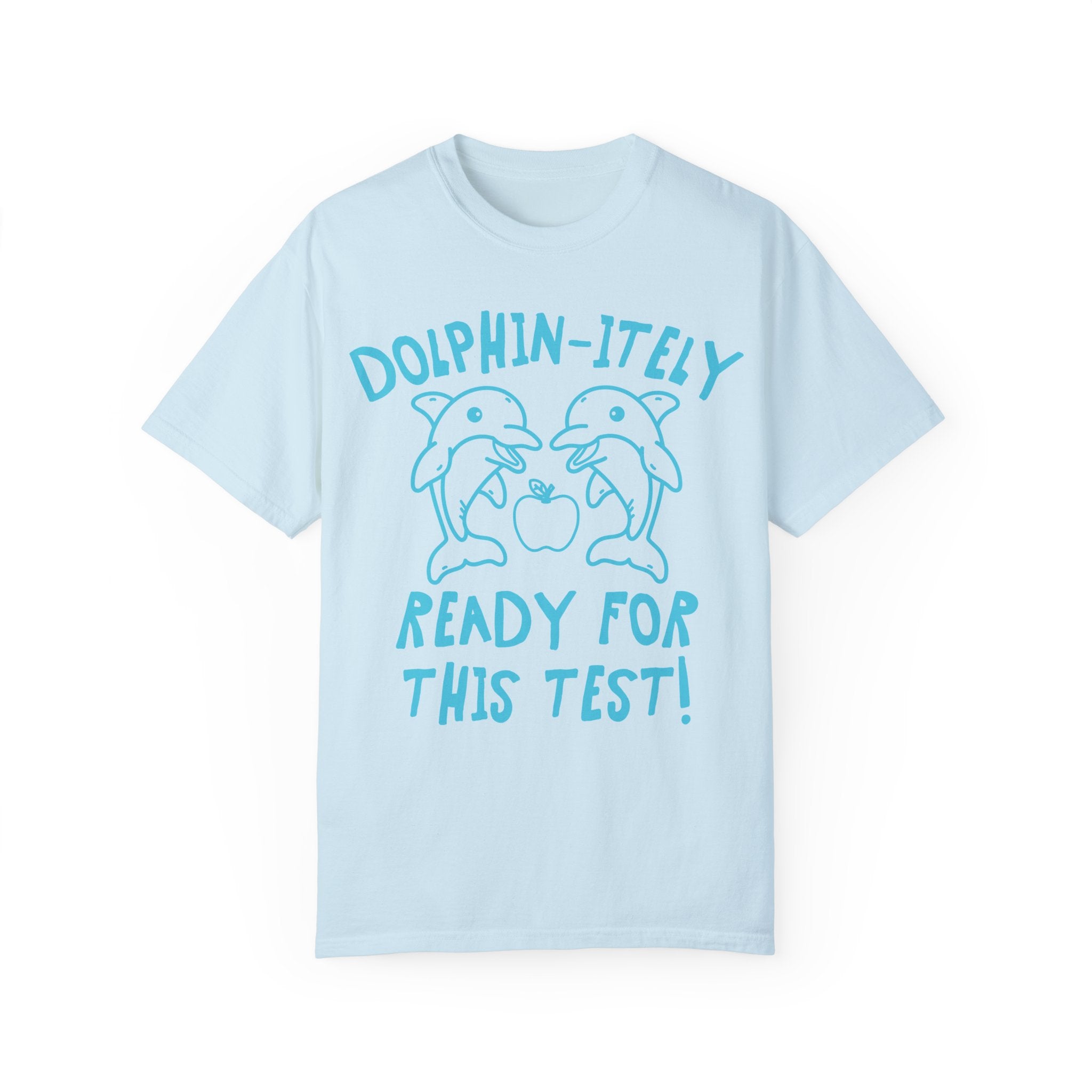 Silly Testing Day T-Shirt For Elementary School Teacher Who Loves Dolphins, Funny Animal Lover Testing Shirt, First Grade Crew Matching Tee - Opal and June