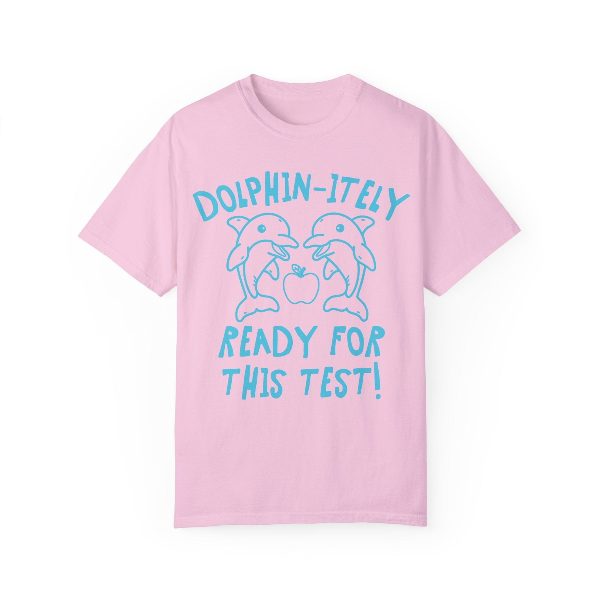 Silly Testing Day T-Shirt For Elementary School Teacher Who Loves Dolphins, Funny Animal Lover Testing Shirt, First Grade Crew Matching Tee - Opal and June