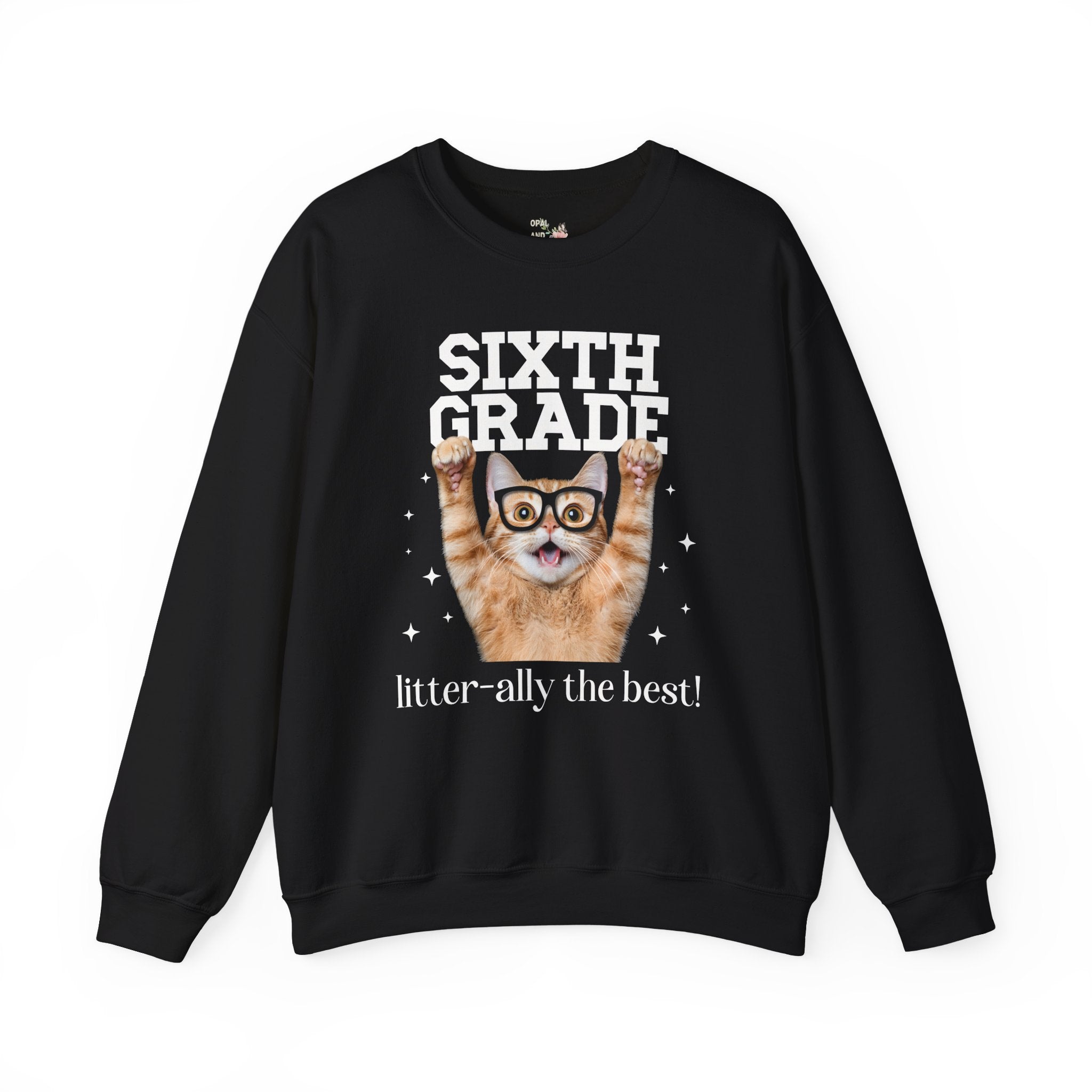 Sixth Grade Teacher Cat Lover Sweatshirt for Back to School, Funny Saying Cat Mom or Cat Dad Gift, First Day of School Teacher Team Shirt - Opal and June
