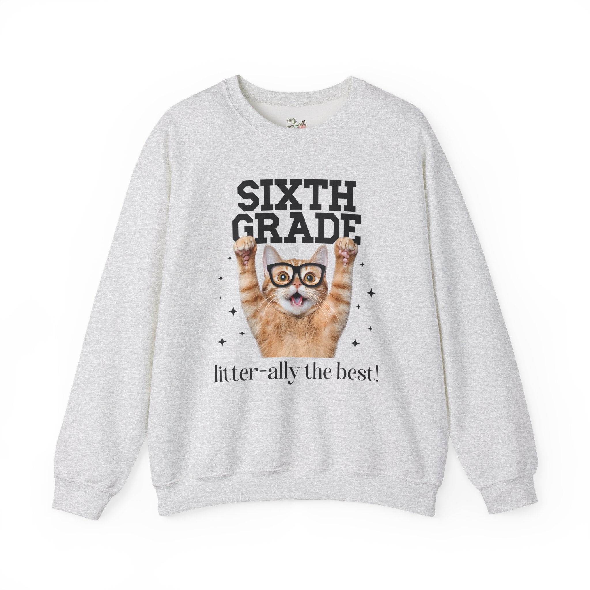 Sixth Grade Teacher Cat Lover Sweatshirt for Back to School, Funny Saying Cat Mom or Cat Dad Gift, First Day of School Teacher Team Shirt - Opal and June