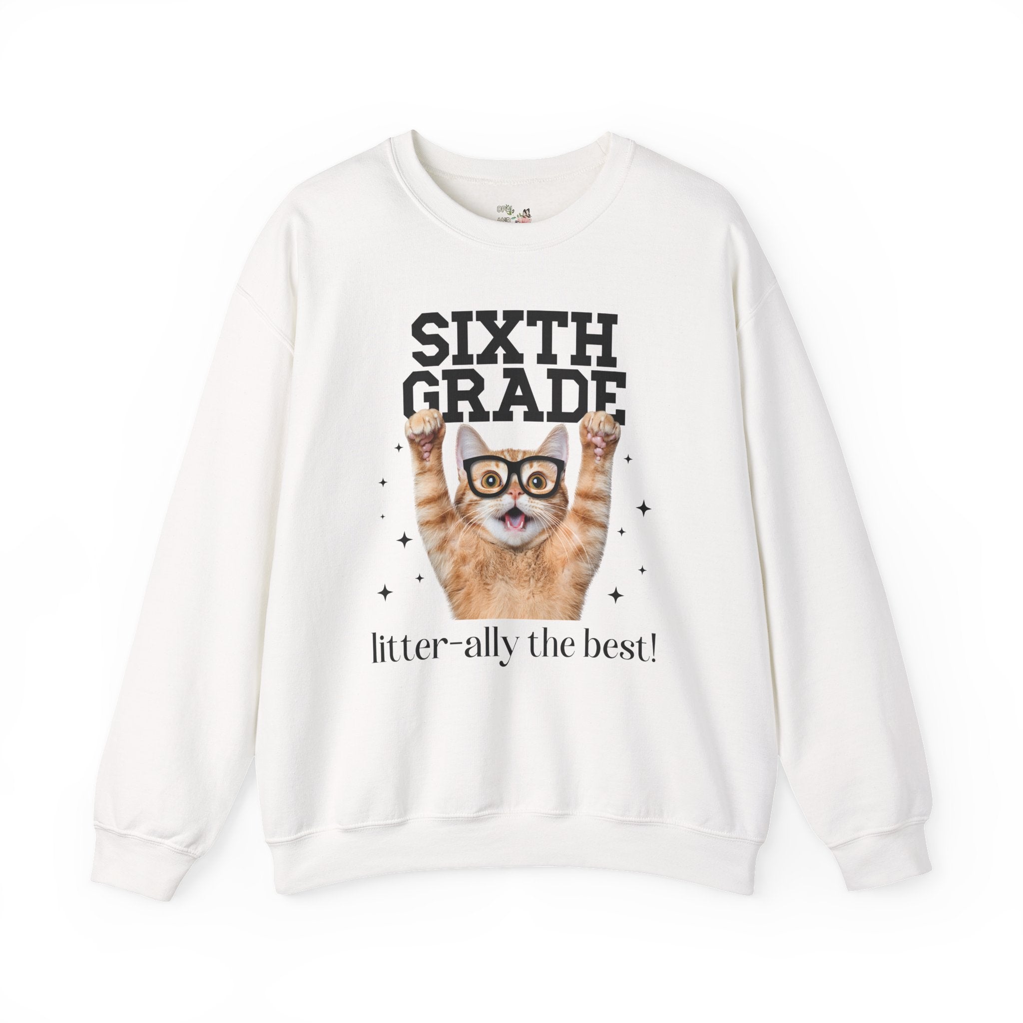 Sixth Grade Teacher Cat Lover Sweatshirt for Back to School, Funny Saying Cat Mom or Cat Dad Gift, First Day of School Teacher Team Shirt - Opal and June
