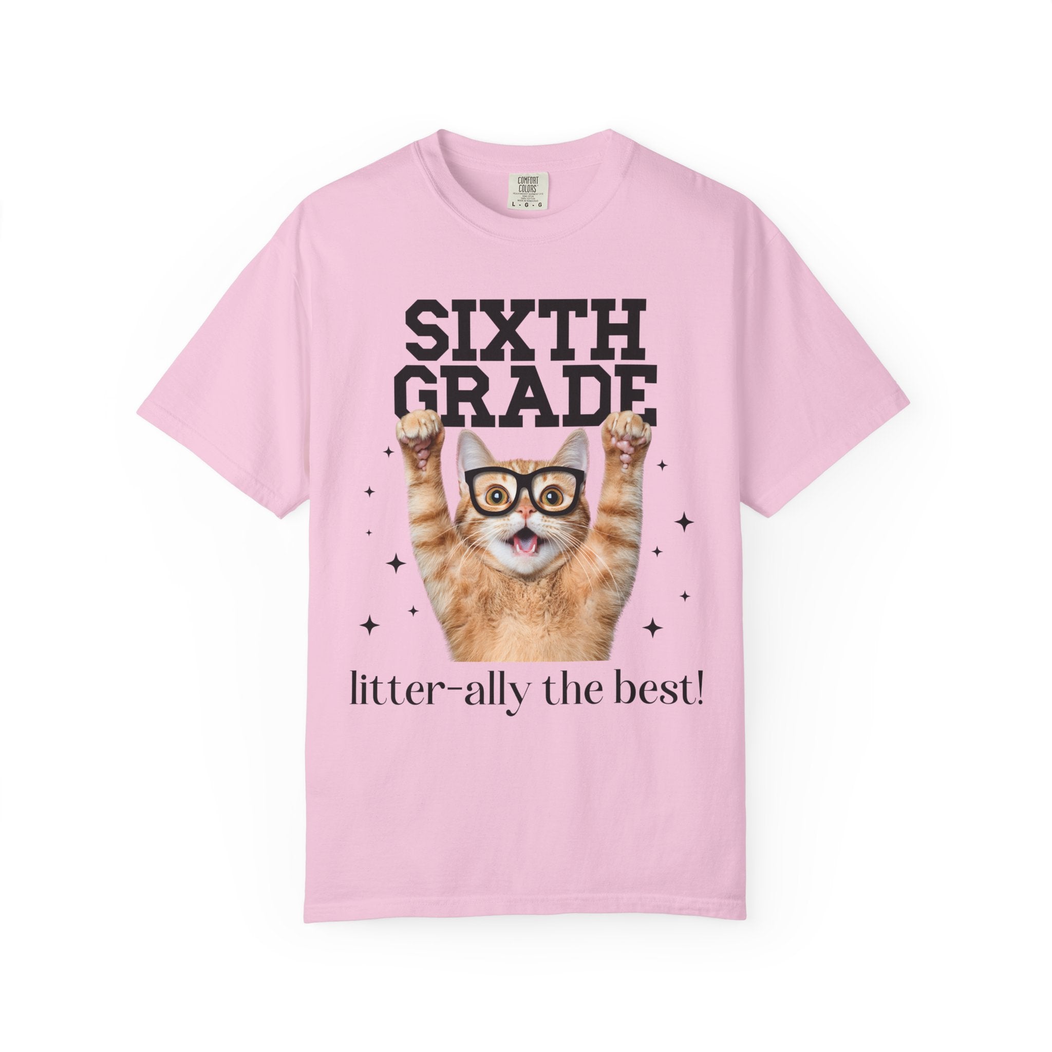 Sixth Grade Teacher Cat Lover Tee Shirt for Back to School, Funny Saying Cat Mom or Cat Dad Gift, First Day of School Teacher Team Shirt - Opal and June