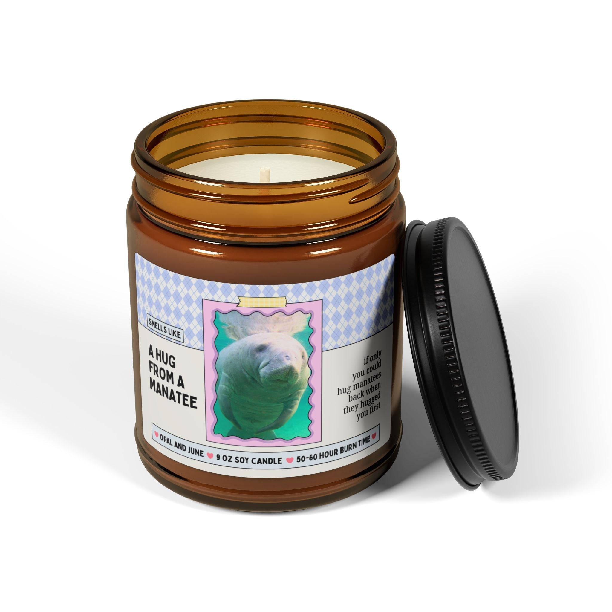Smells Like a Hug from a Manatee 9 Oz Soy Candle - Opal and June
