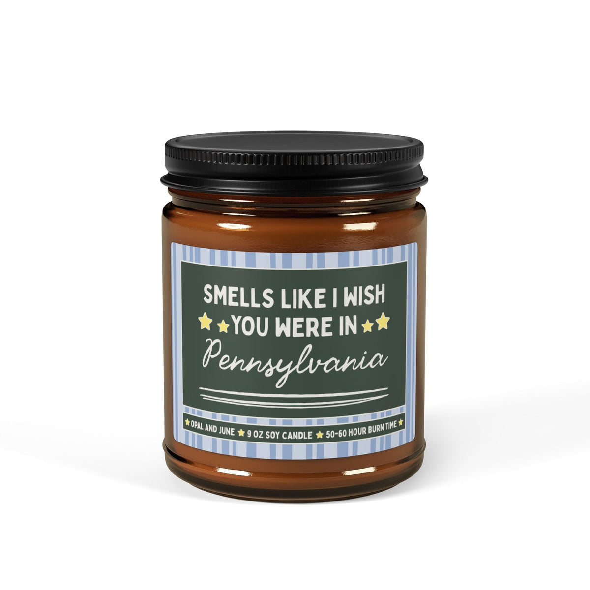 Smells Like I Wish You Were in Pennsylvania: 9 Oz Candle for Friend or Family Member Moving from Pennsylvania, Long Distance Relationship - Opal and June