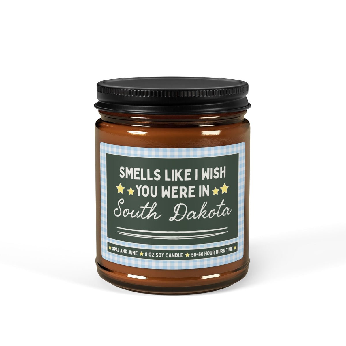 Smells Like I Wish You Were in South Dakota: 9 Oz Candle for Friend or Family Member Moving from South Dakota, Long Distance Relationship - Opal and June