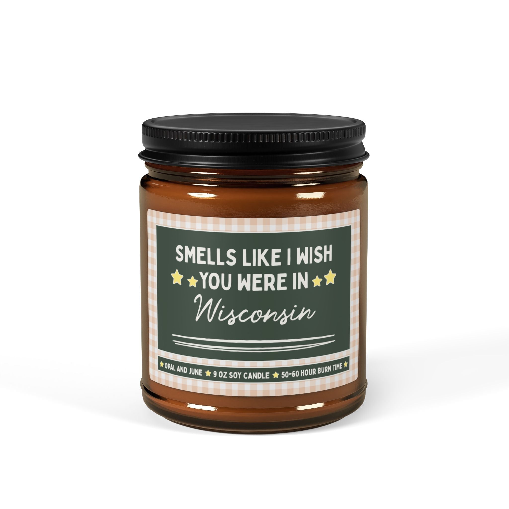 Smells Like I Wish You Were in Wisconsin: 9 Oz Candle for Friend or Family Member Moving from Wisconsin, Long Distance Relationship Gift - Opal and June