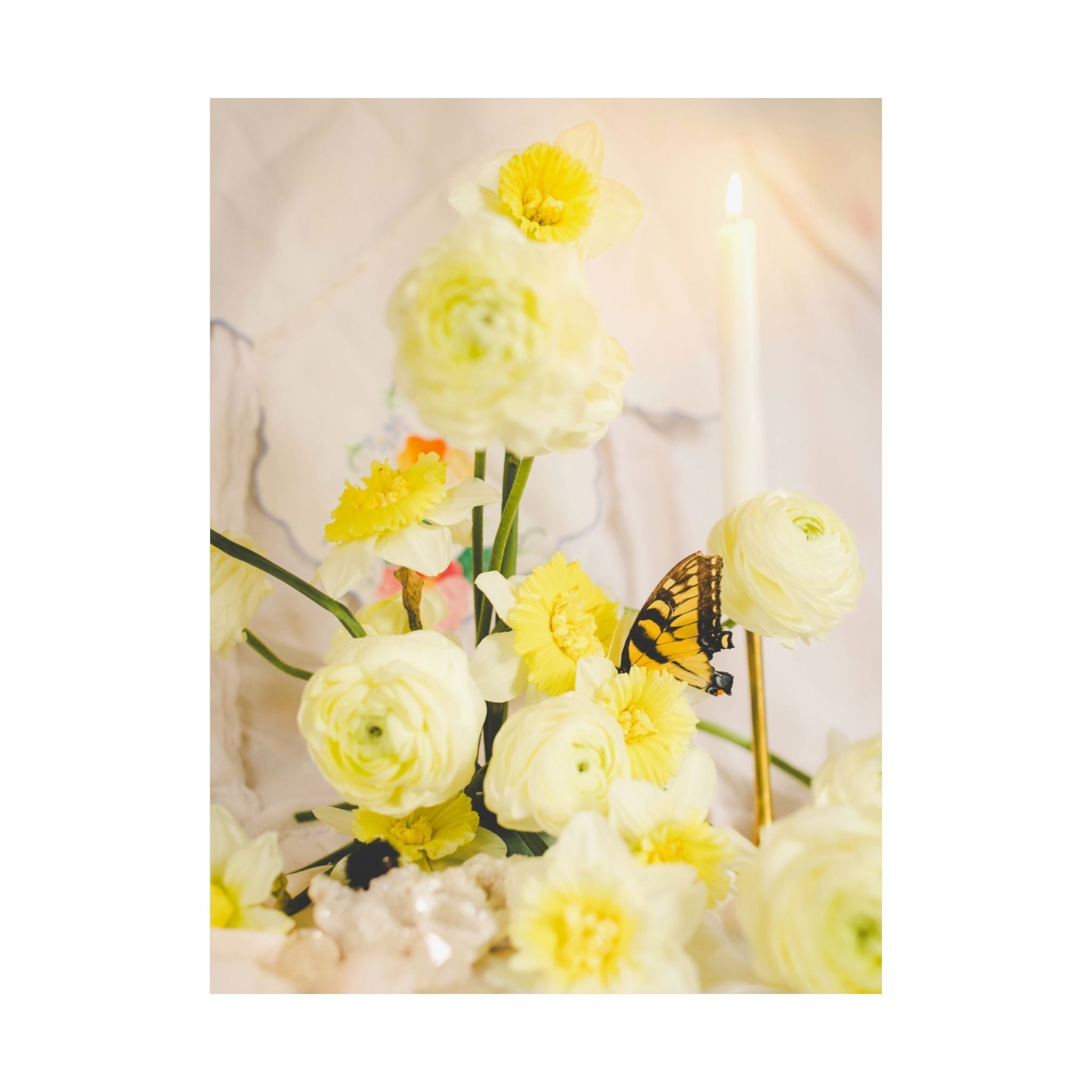 Spring Daffodil Print with Butterfly and Candle - Opal and June