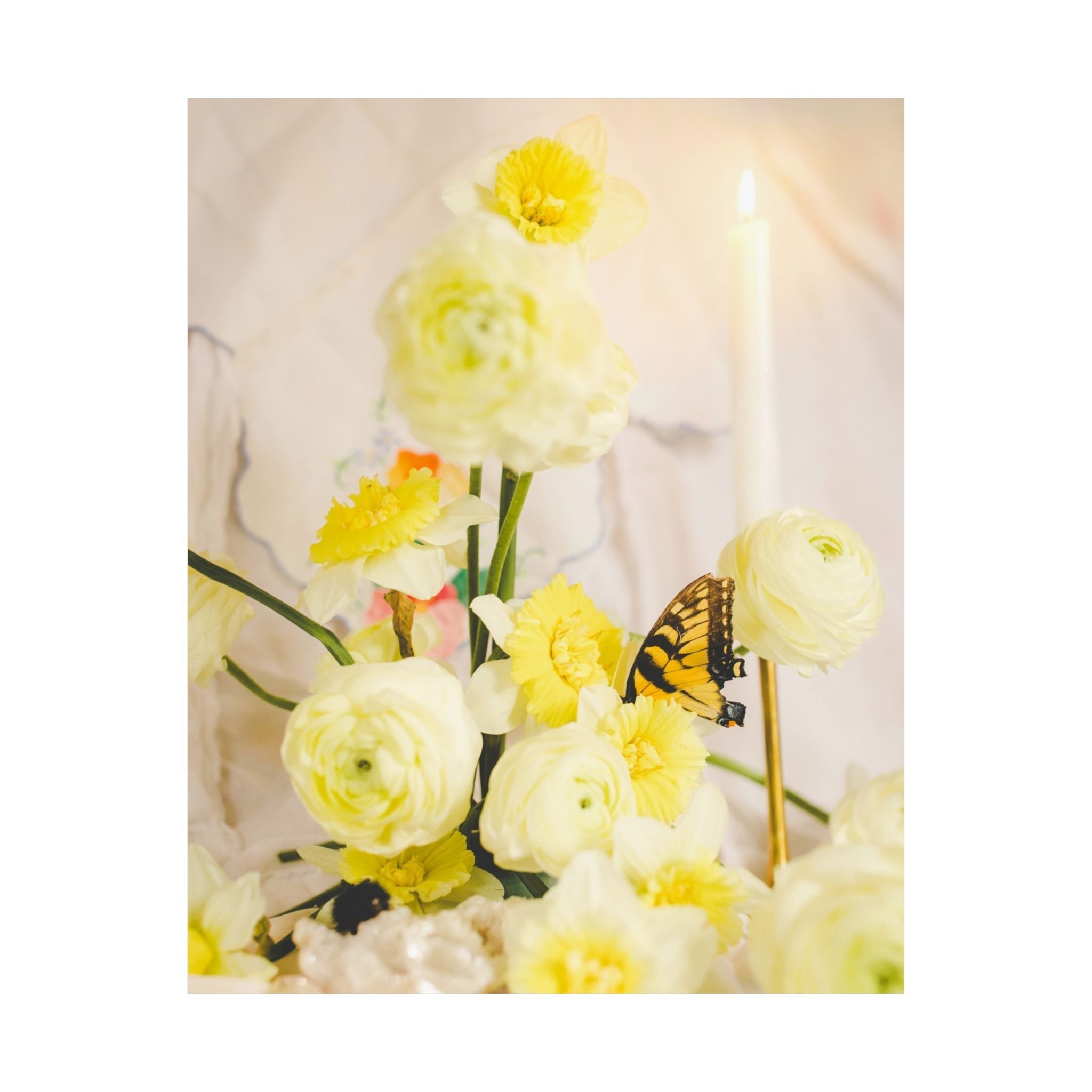 Spring Daffodil Print with Butterfly and Candle - Opal and June