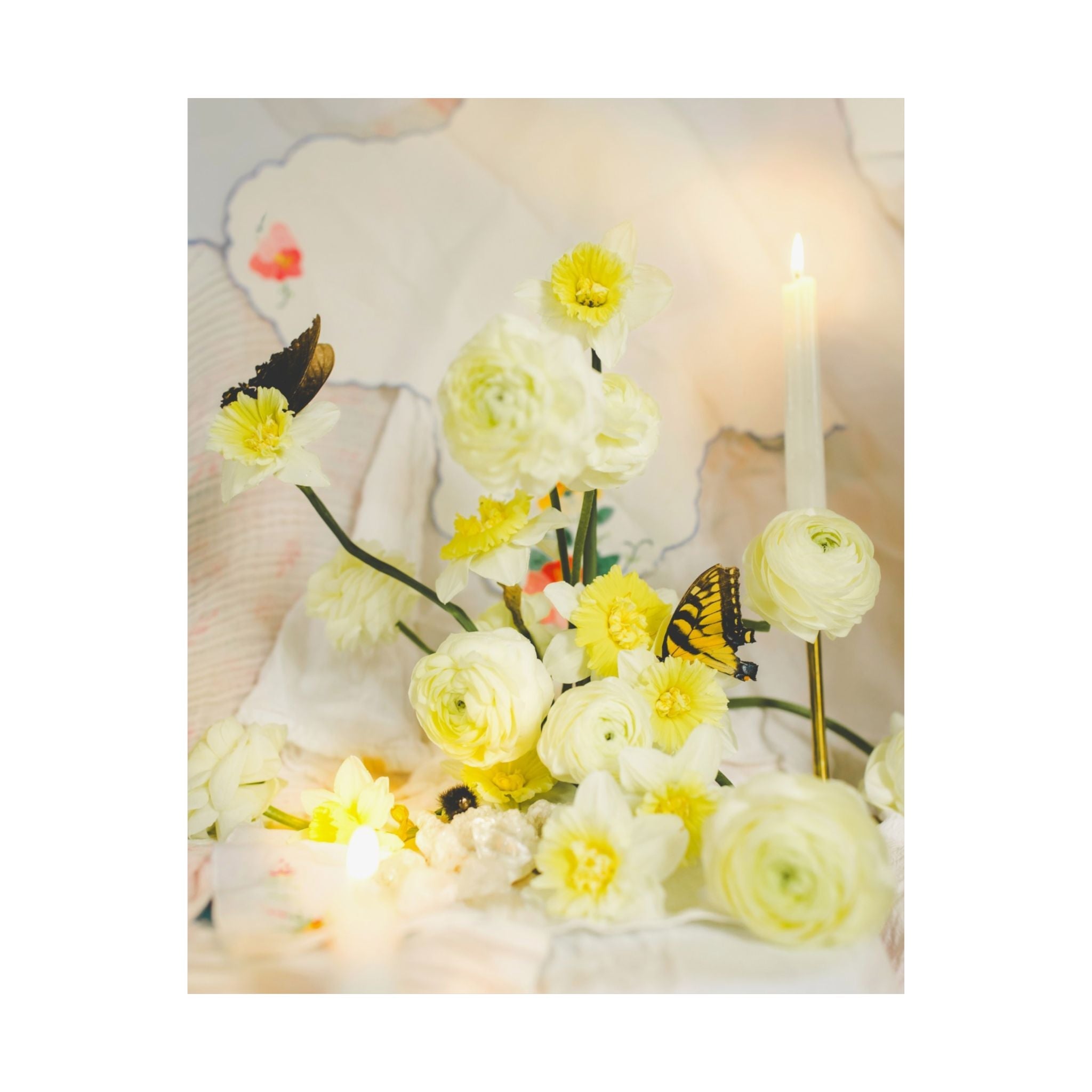 Spring Daffodil Print with Butterfly and Candle - Opal and June