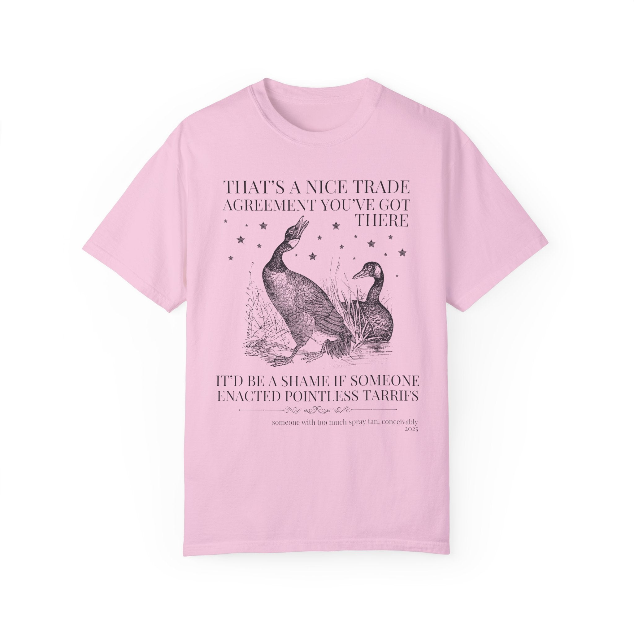 Subtle Democrat Tee Shirt, Historian Who Loves Canada, Funny Animal Lover Democratic Socialist Gift for Historian, Equal Rights Leftist Tee - Opal and June