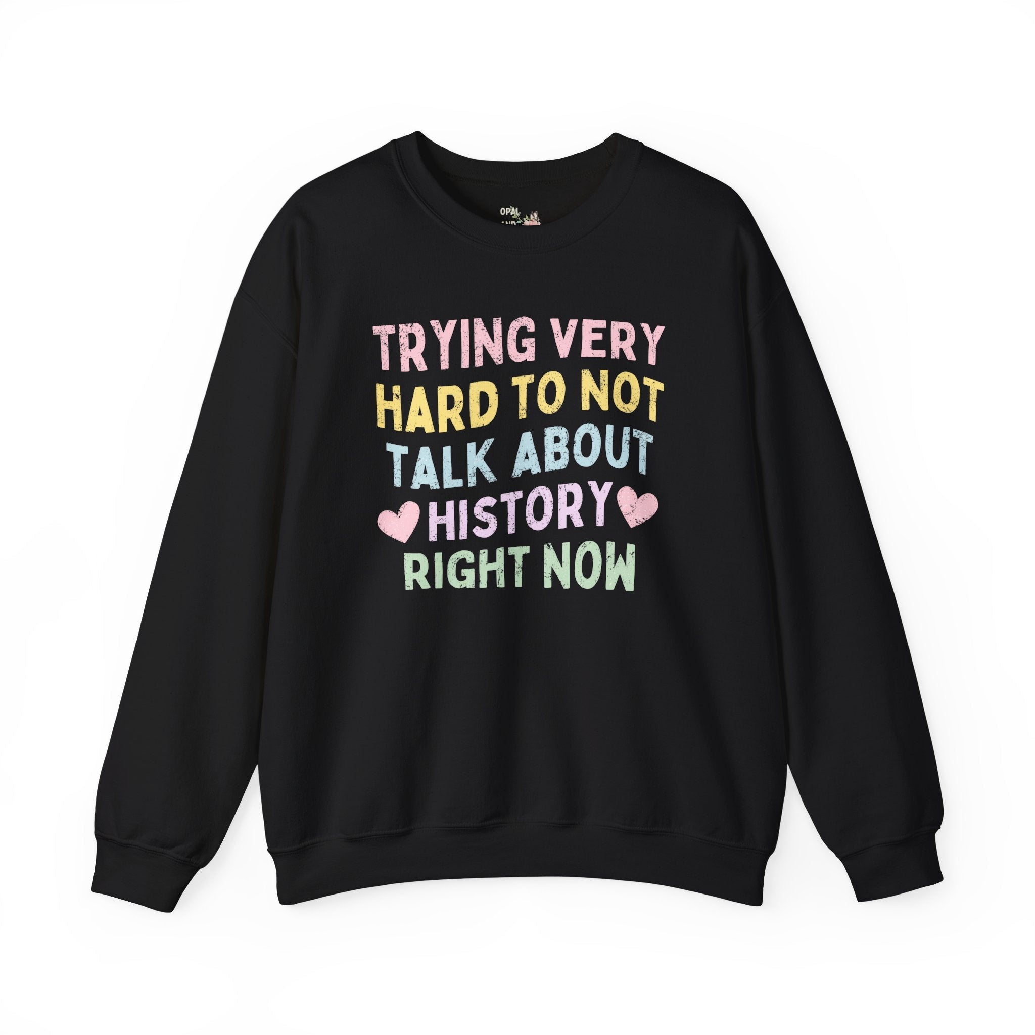 Sweatshirt for History Lover or Teacher: Shirt with Distressed Pastel Text | Colorful Retro Gift for History Professor, Social Studies Major - Opal and June