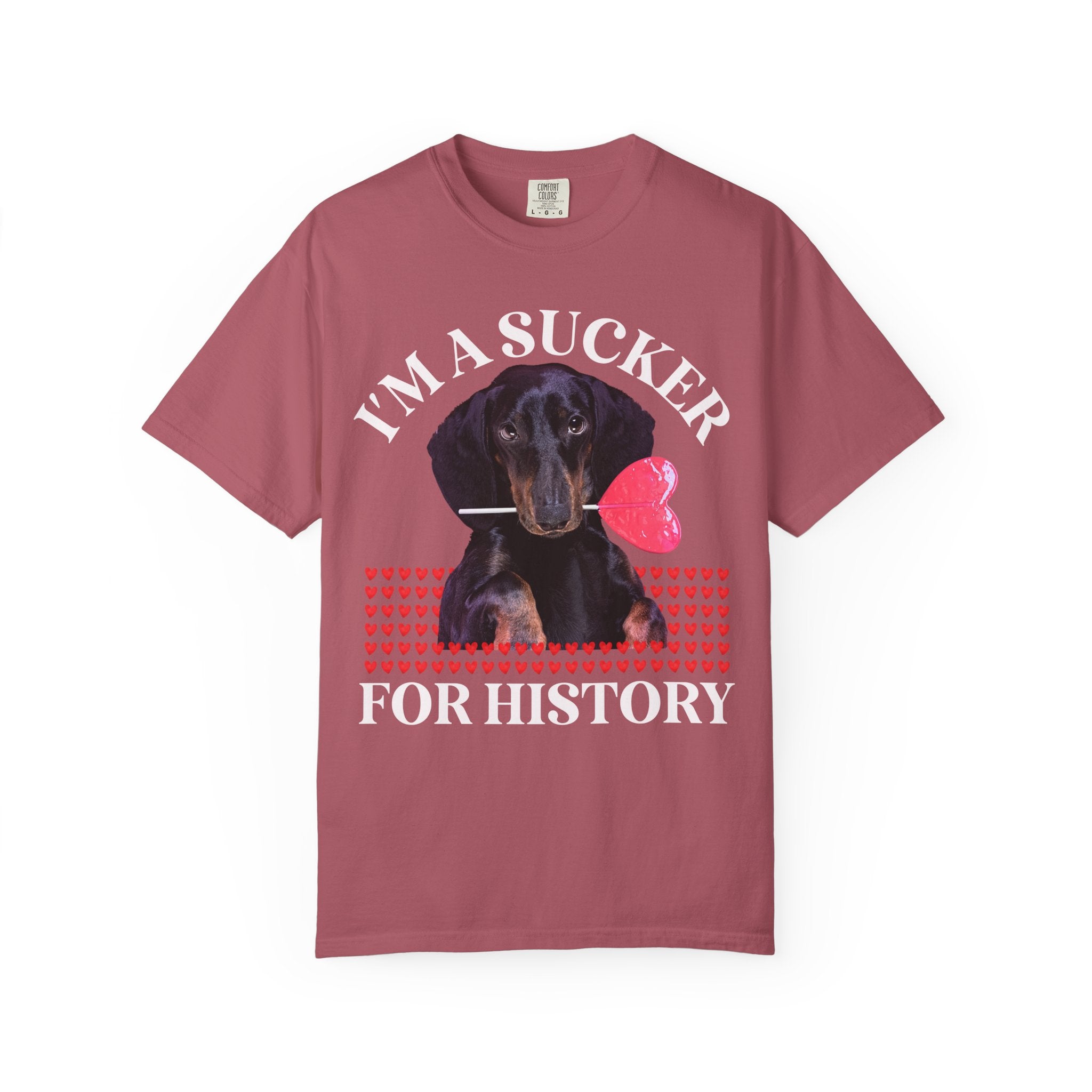 Teacher Valentine's Tee Shirt with Puppy Holding a Sucker, Silly Weirdcore Matching History Teacher T, Kindergarten Crew, Science Department - Opal and June