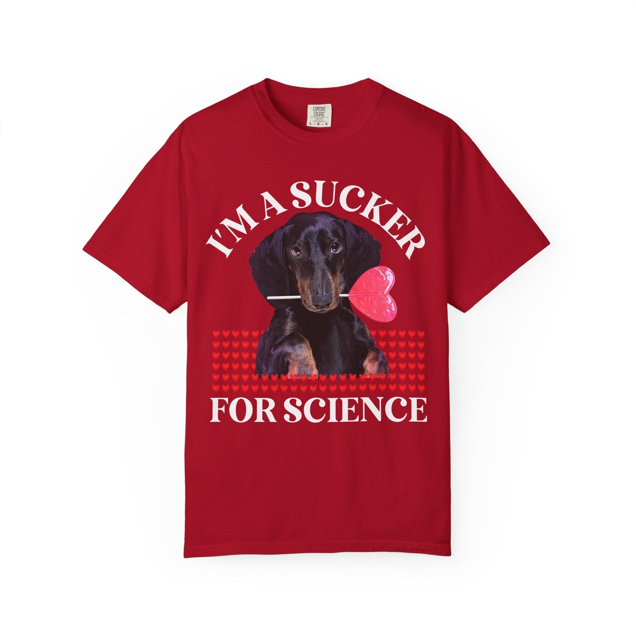 Teacher Valentine's Tee Shirt with Puppy Holding a Sucker, Silly Weirdcore Matching History Teacher T, Kindergarten Crew, Science Department - Opal and June