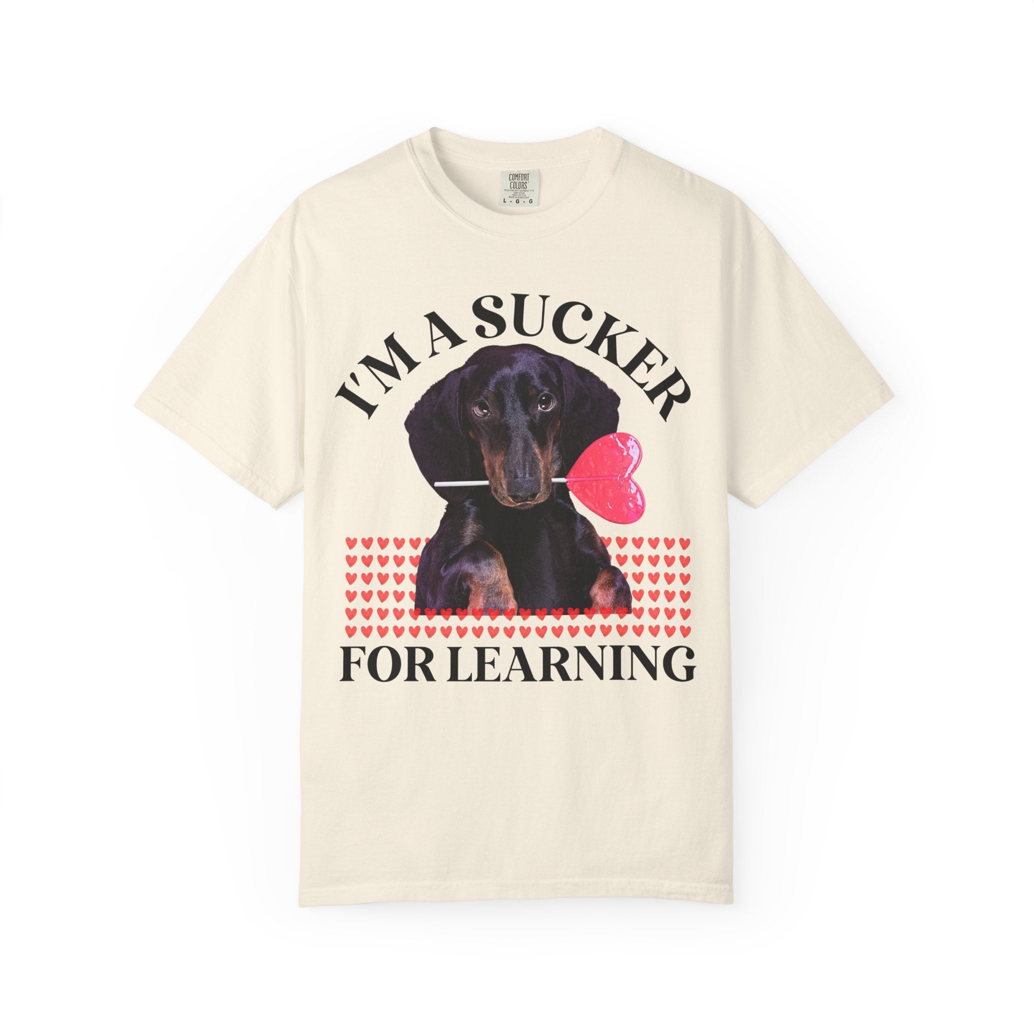 Teacher Valentine's Tee Shirt with Puppy Holding a Sucker, Silly Weirdcore Matching History Teacher T, Kindergarten Crew, Science Department - Opal and June