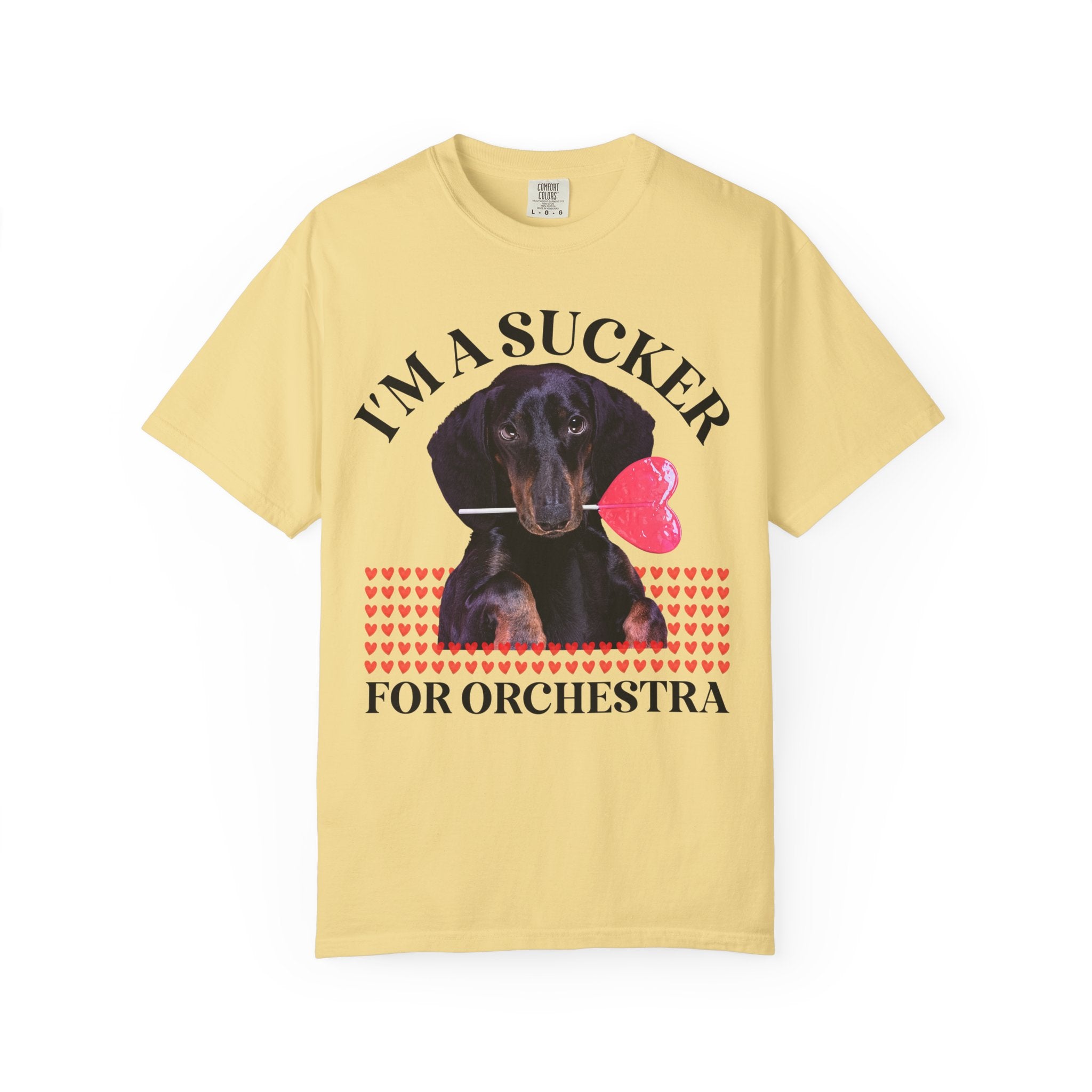 Teacher Valentine's Tee Shirt with Puppy Holding a Sucker, Silly Weirdcore Matching History Teacher T, Kindergarten Crew, Science Department - Opal and June