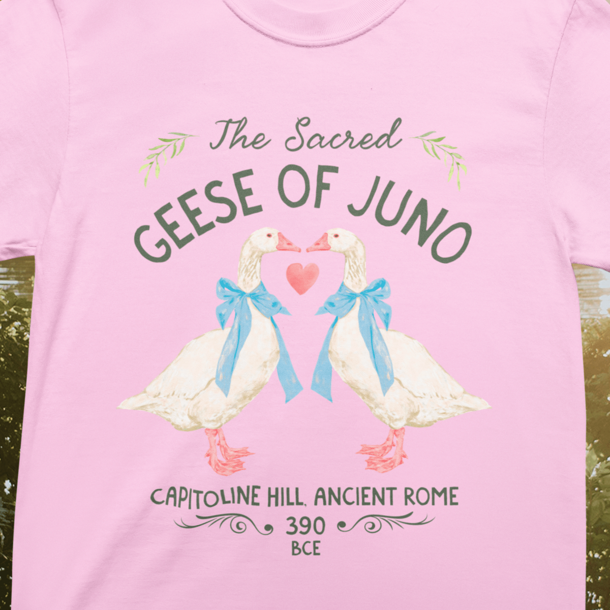 The Sacred Geese of Juno - Opal and June