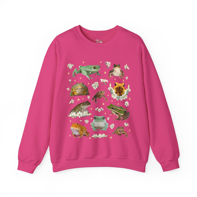 Weirdcore Frog Sweatshirt - Opal and June