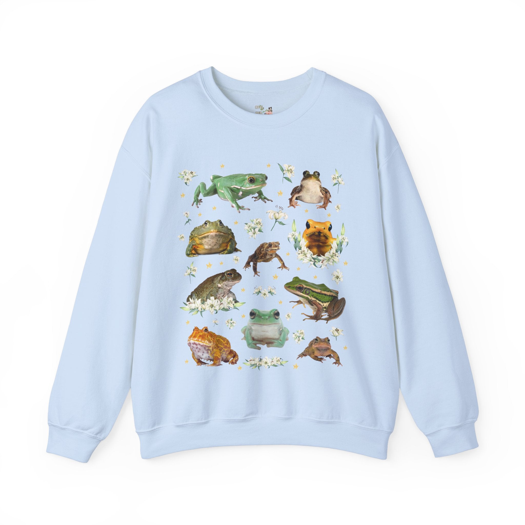 Weirdcore Frog Sweatshirt - Opal and June